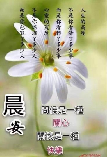 310ED483-7C26-4A7F-A407-022CF8F82DFC-7398-000000D089859F38
