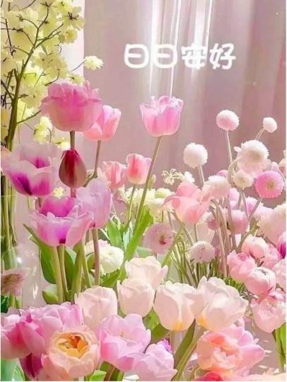 31745D6E-25C3-417A-B45D-47C85980BE63-28855-00000308790D6005