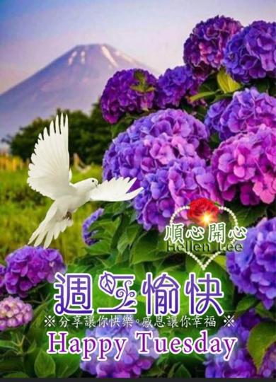3192AEAD-6206-47C9-AED6-9D6AB4040035-12018-00000189077B10AD