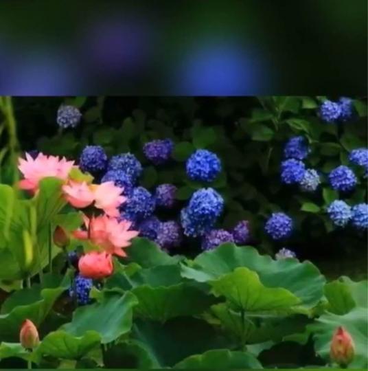 3243F8ED-E518-4EE9-A591-9CA14ABEFD87-3949-0000020222B733D7
