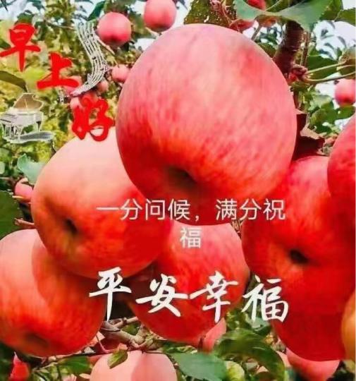 32F2D503-6DAE-4B60-A3CF-4A6F1ACA7322-5021-000002BA9D3FD7E3