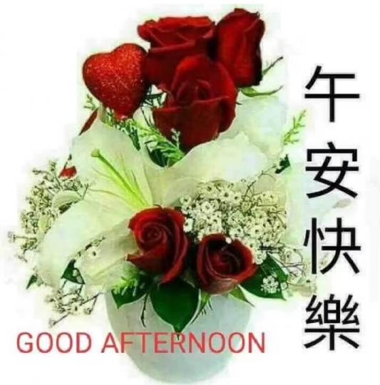 335FEA95-246A-4705-8EDF-9753065D93C7-27199-00000D8340915481