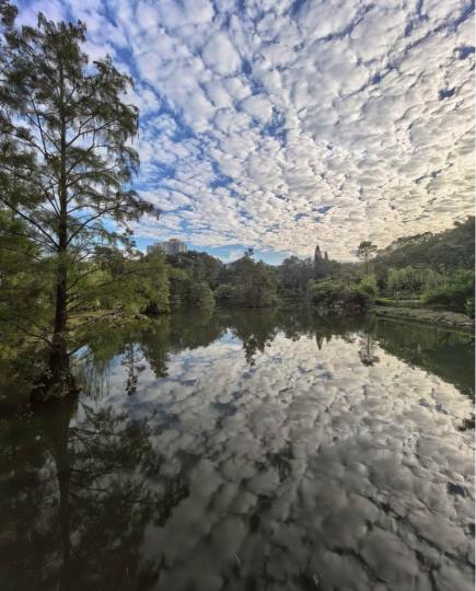 3378BD84-6AAA-4D7E-832F-AC1E29F7E8CF-38342-000003A69AF8F57E