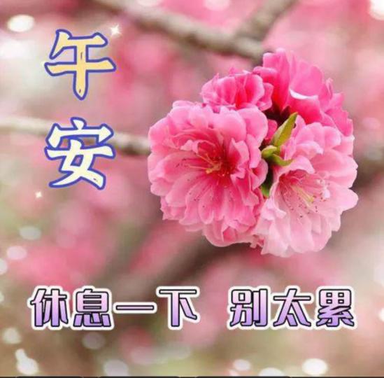 347608F8-0E7B-417A-A45D-02E680F63B44-48582-0000058DD051BFB4
