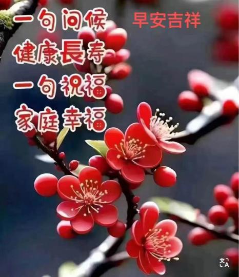 348DB6D9-B67C-433A-AFB1-3B92E396FFB4-96933-00001418CB42D204
