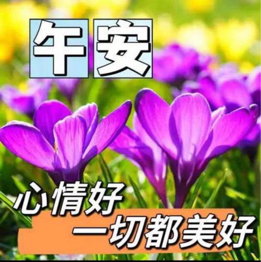 351C188D-9A0B-4CF5-908A-1885C3355013-19980-0000021C70896594