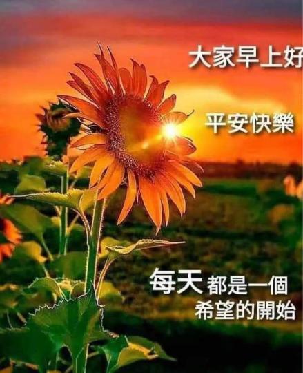 357660C6-8E48-4BA6-8F49-53945AA7CFE7-67804-00000774929CD060
