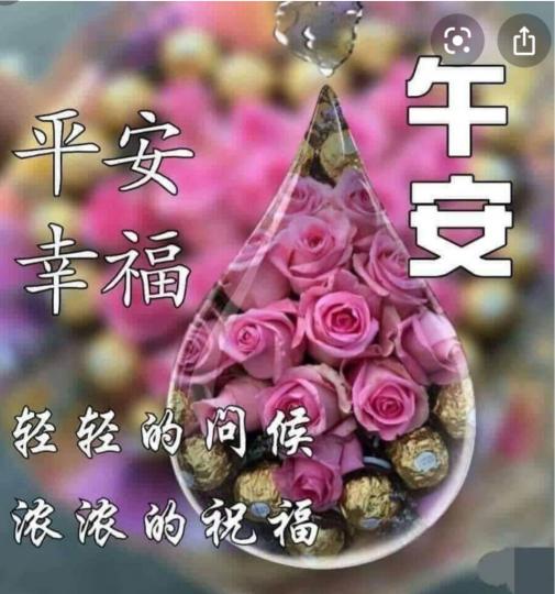 36234620-4936-47F9-8D7F-C534FBE55D95-14394-0000032C65E6372B