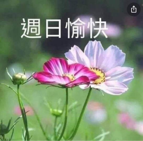 362DEEC9-0D61-496E-9070-3BA9DF477596-60404-000006D25CE0537F