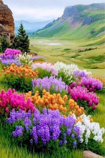 36DE64AC-B219-4FFE-BCFE-012A71F251ED-78353-00001F2D16169C4E