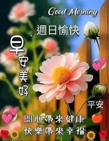 374E5824-06A2-49E7-9E96-31A3ADB928C5-15429-0000019E0D7C9188