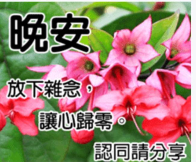 3778289A-20C2-40CA-AEB4-D2CE3CE385C0-9915-000002E6FA93C7D8
