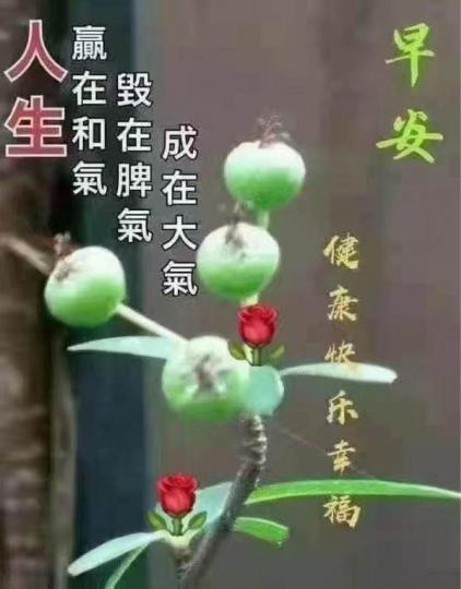 37C72D70-4B0B-4029-9E0F-2927BDF08771-32431-00000EC86F0EFA04