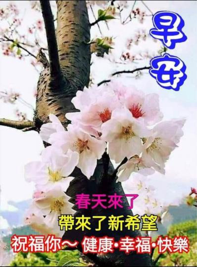 37DF88E0-3325-4C6E-A3CF-A4C3C818F9EE-3327-000002061BBFDB69