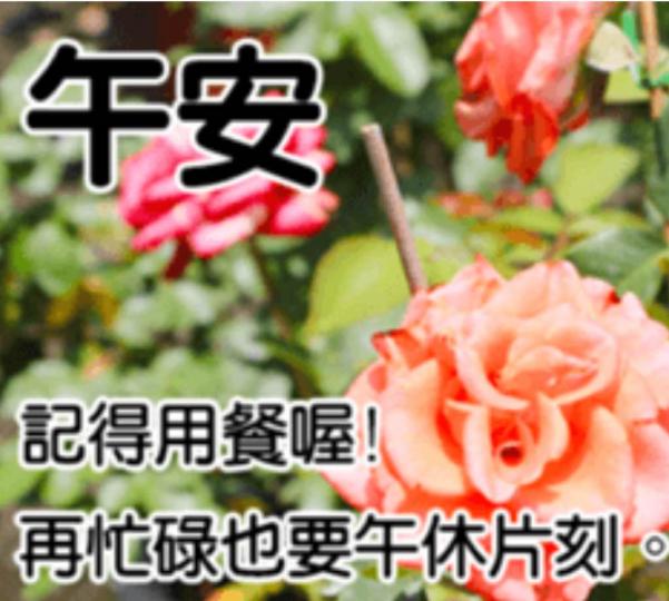 389BC7A7-120F-408D-AC7B-4B648E7C5D6E-1472-000000DBD08EF9DB