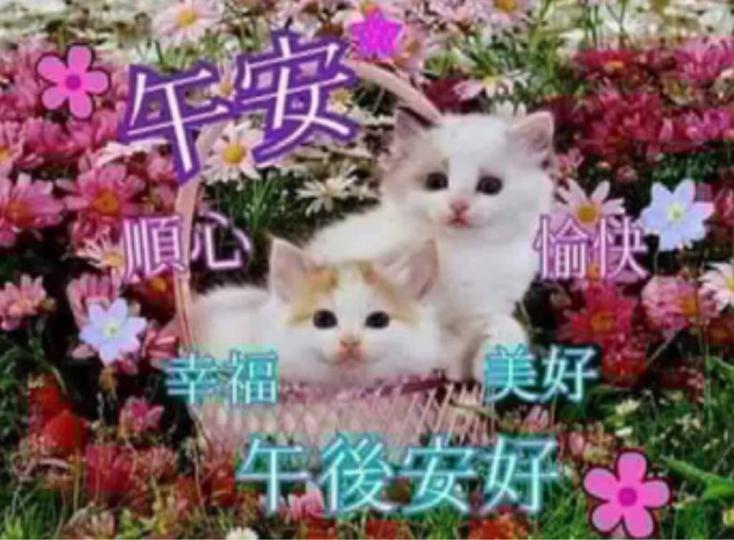 38CF4A75-E9B5-4348-988E-F4AF8DD9AB4A-11266-0000013B6374E9B8