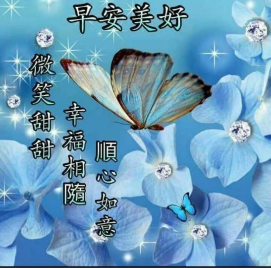 38D728AB-45BA-480C-959A-67909C5CDB5D-28649-0000066B2F352469