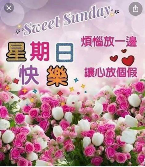 3A48A6D3-BE10-4580-83D7-8DF704A9A2DB-4551-000000873209B5B2
