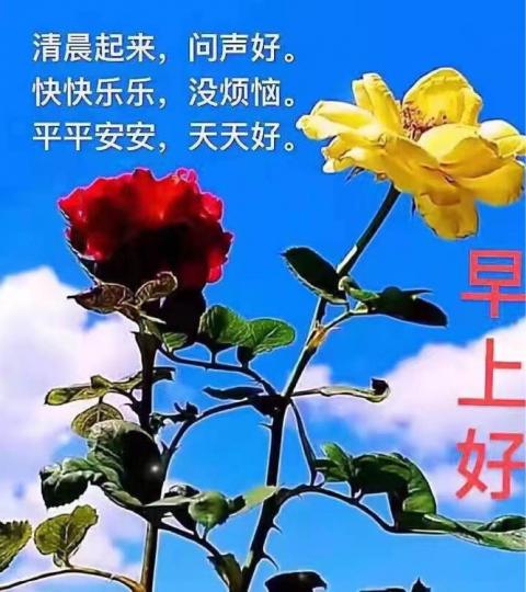 3A6A4129-5610-4530-BC60-7BB8E0C9F1BE-16563-0000044C8EE51D63
