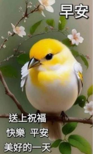 3A8AEC4B-3EA8-4782-8F77-1BE5B982FD82-5230-000000C3431AB234