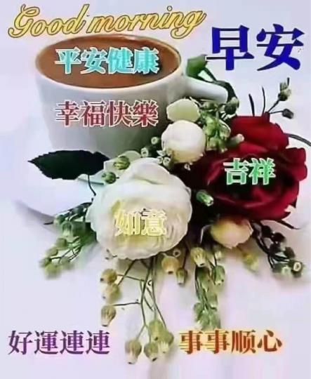 3AA84444-A32C-47FF-A7EE-787874839B29-12452-0000017AF9F51861