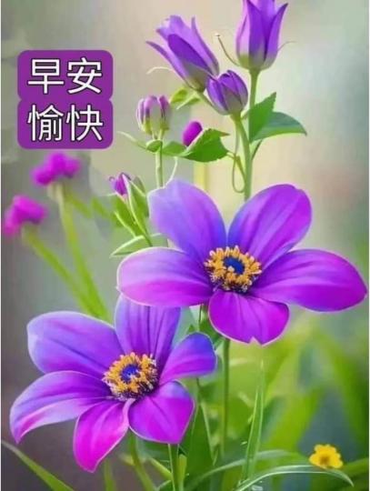 3B0488BE-4BCF-45D7-8F73-1A65537AB493-69725-00000540A07E7273