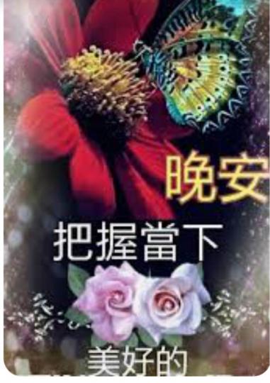 3B614FDD-44EB-47D7-9514-CBEF8A3AE29B-23285-00000D82FF5B9A29