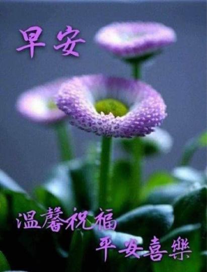3B73680C-E1C7-42D4-9E93-F44E226430D7-2409-0000005AEA285C81