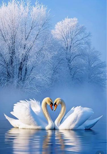 3BCD5913-0353-4118-B591-30A21995EC14-40963-000003D74853CD02