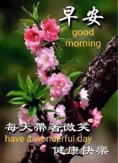3C3D5C6D-CEF6-4C80-BC21-976CF1B91E82-33663-000003F94148FBBD