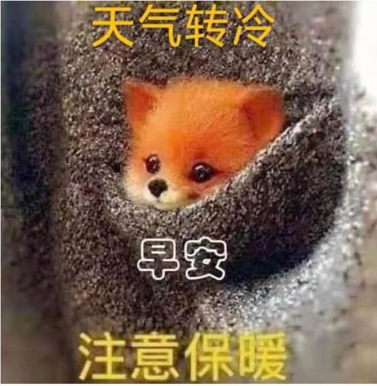3C489101-29C8-471C-89B4-3D9A1F16D372-8337-000000E950322902