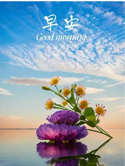3C5706A3-FE2A-47AC-AB9B-1C96ED28982B-357-000000044313A907