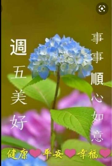 3C8829C0-CBE4-4998-AC68-56D50E9BF4CA-21463-00000489A86EA8DF