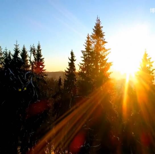 3E3C52E4-106D-4867-9EEE-ABC14B9899DD-35560-0000038DE23FA7D2