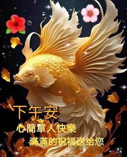 3F082060-9968-4BA5-A70D-DA40CB5642AF-42503-0000049BF634824F