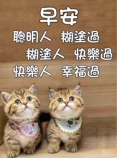 3F707FC9-1DD7-43F7-8100-6CE7B4711029-4182-000000B72F327899