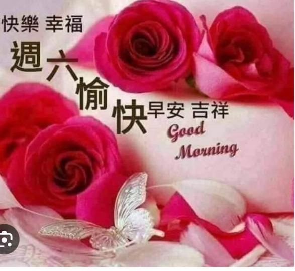 3FDAC493-EBE6-4CF3-8C47-F9F9F60618EA-7831-000000D32C6A6305