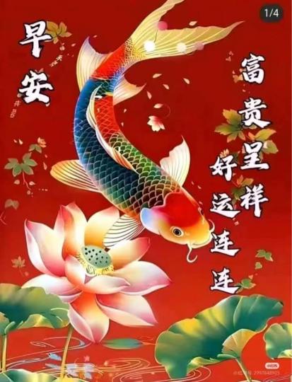 403CC2F7-1C64-43AE-B55B-60BC9990C876-42965-000017AD62A02E07