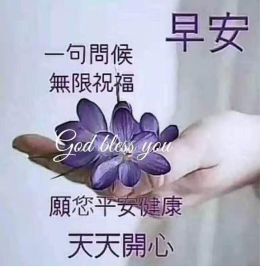 403E4FB2-E9E4-4084-B4D0-43ED2869570A-82779-000009428E2A81A6