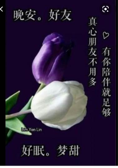 408143F0-14D2-4DA6-94BE-1CF605447E59-11930-0000017CE8A9C872
