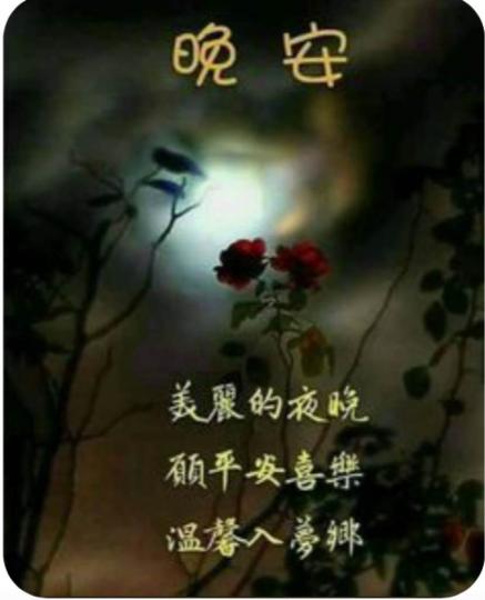 429D23FE-9696-4110-8E72-13C18174BC5D-3371-00000055BCBBC9A1