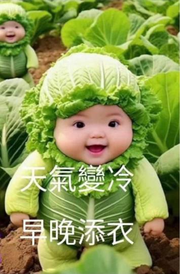 42AD469C-29C3-4938-9403-159B06DD986A-50455-000005C13EA0E0A7