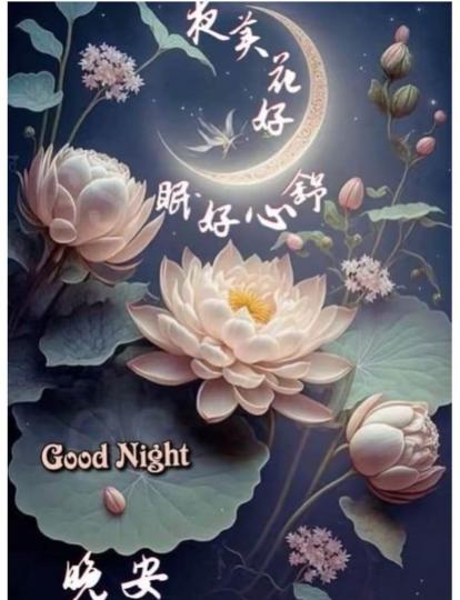 4337C8CE-ACC3-4E85-A935-03D931E3CAB0-7878-000010EB422963FE