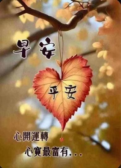 4485F6D8-5D47-480D-BEAD-A4DF013E5332-5800-00000FCA9EBC9E3E