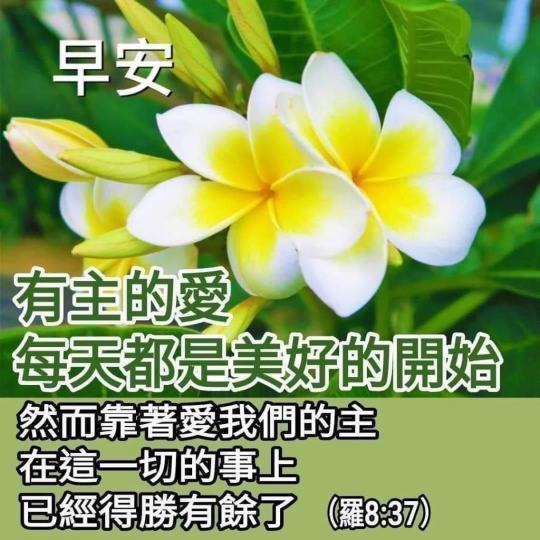 44CCAAF3-5DCA-41C2-AED1-6C4B03D67F0A-93378-00000B03DF426771