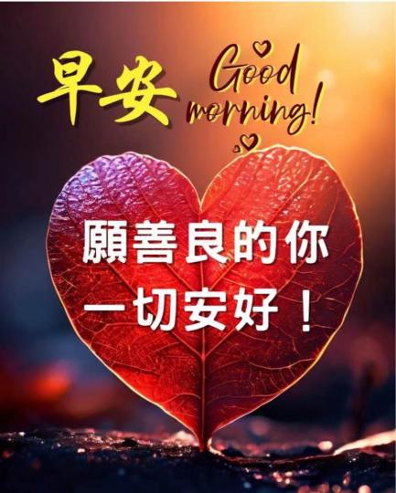 458D592A-42B2-4E2D-AD1A-67E52DAD3A23-39410-000003615E11BB58