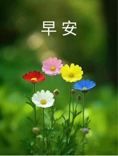 46BF8A79-71F3-4998-A56D-AE76A7D870BC-3691-00000061DEEEEC0A