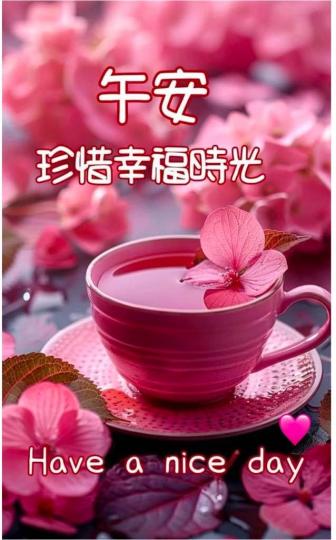 46F84CDF-978E-4168-A667-370264E0E6EF-74498-00000B6D7787E30F
