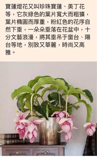 473DAC0D-14C0-4797-A6FD-E9CDE239B65A-12310-00000174907A636A