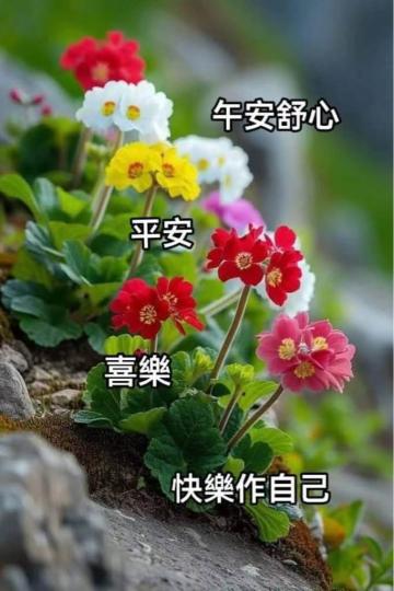 479CF38E-7238-4F6F-8FB2-0B3F677D6017-27006-000002450D9272F4